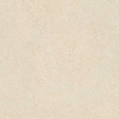 Petra Beige Satin